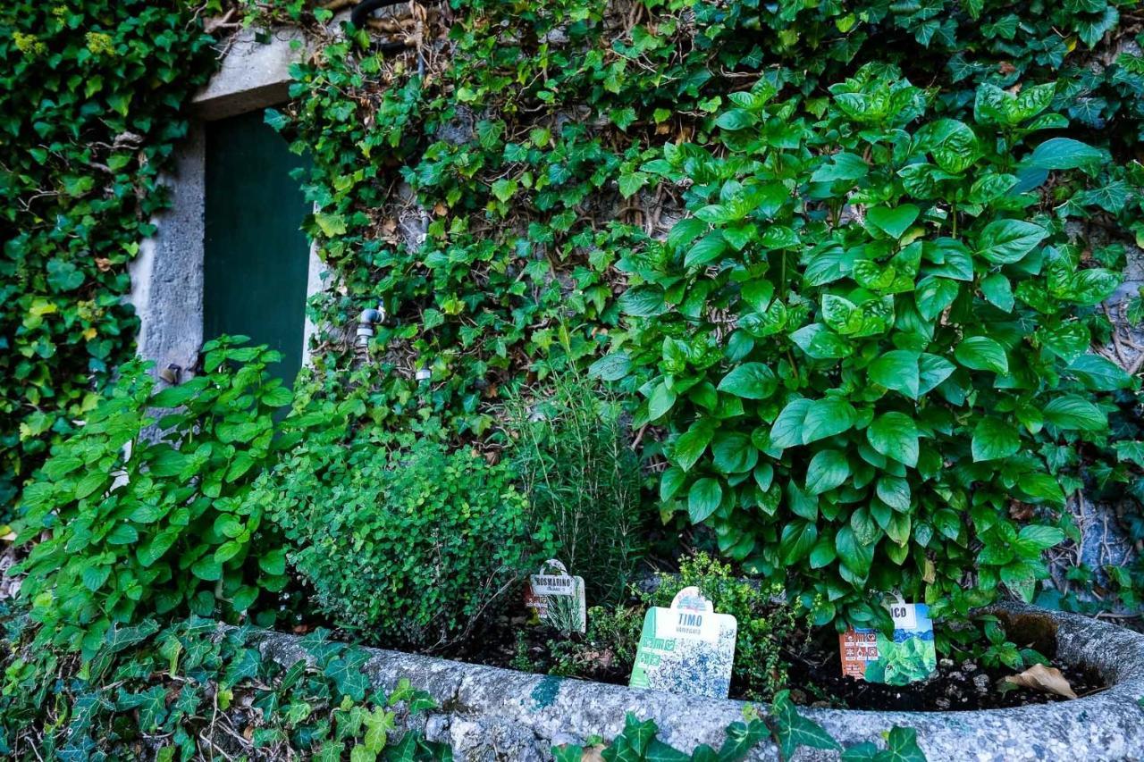 Villa Gina Βαρένα Εξωτερικό φωτογραφία