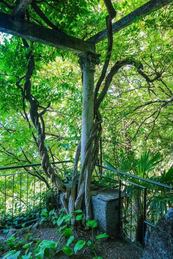 Villa Gina Βαρένα Εξωτερικό φωτογραφία